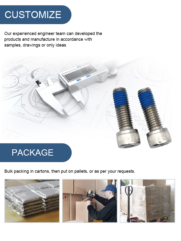 Stainless Steel SS304 Hexagon Socket Head Bolt with Blue Coating Nylon Lock Screw Cap