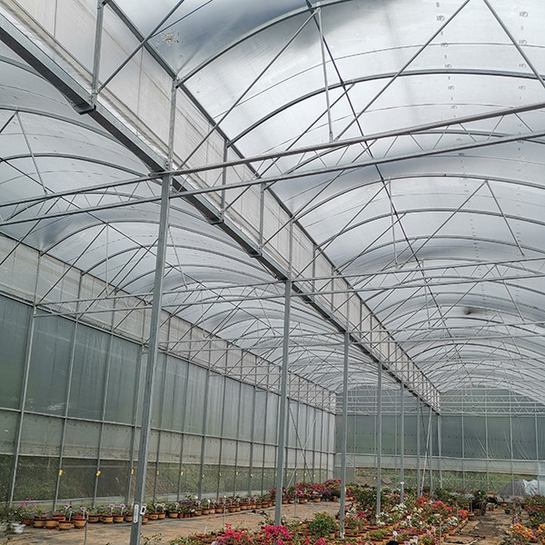 Easy Installation Multi Span Greenhouse With Large Diameter Frame Anti Wind Design