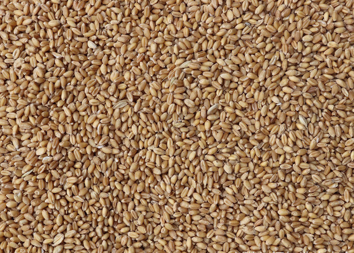 Intelligent Wheat Color Sorter Machine Wheat Cleaning Machine 5 Channels