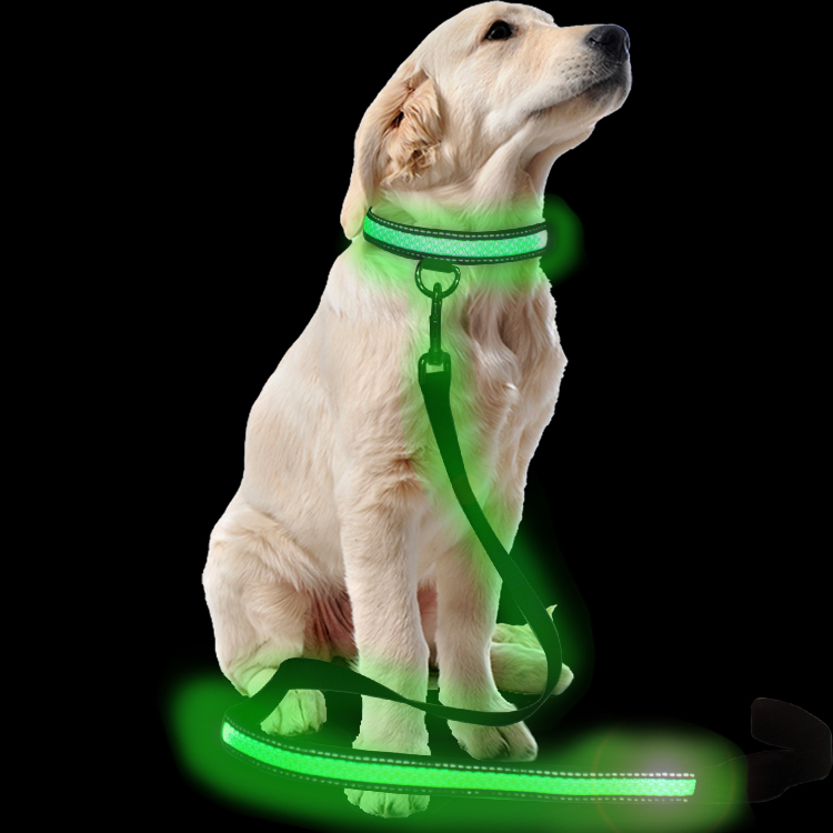 Custom Printed Small Dog Leads Leash Nylon Safety Led Flashing Strong