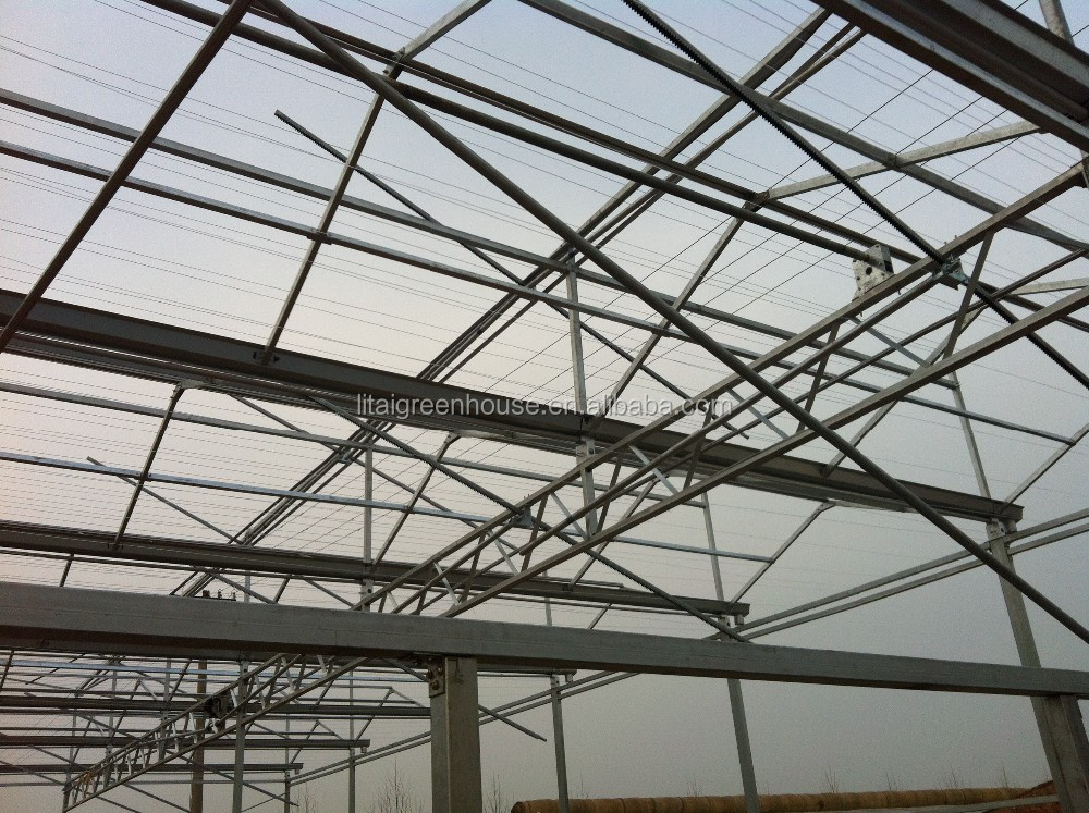 Smart Controlled Safe Glass Greenhouse for Vegetable Fruits Flowers Top Height 4.8m-6.8m