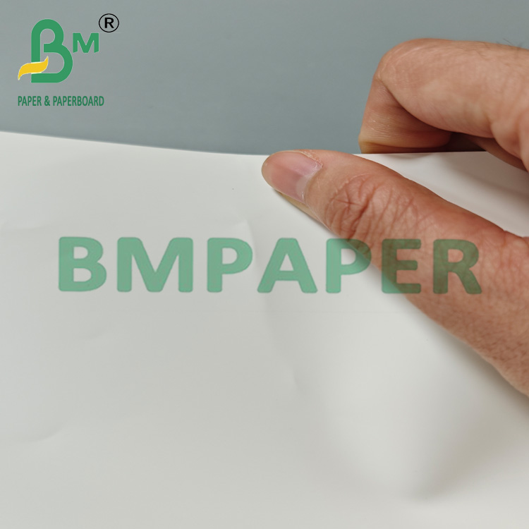100um 150um A3 A4 Waterproof Matte Water Based PET Synthetic Paper