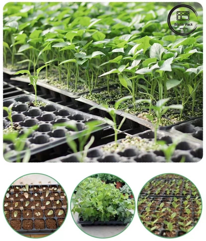 Affordable Multi Cell large plastic seed trays 21 to 120 Cells for Vegetable & Plant Seedlings