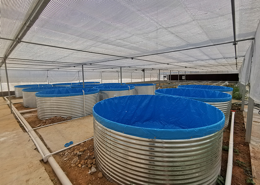 Industrial Indoor Recirculating Aquaculture System 7kg/M³ Shrimp Density 30% Faster Growth