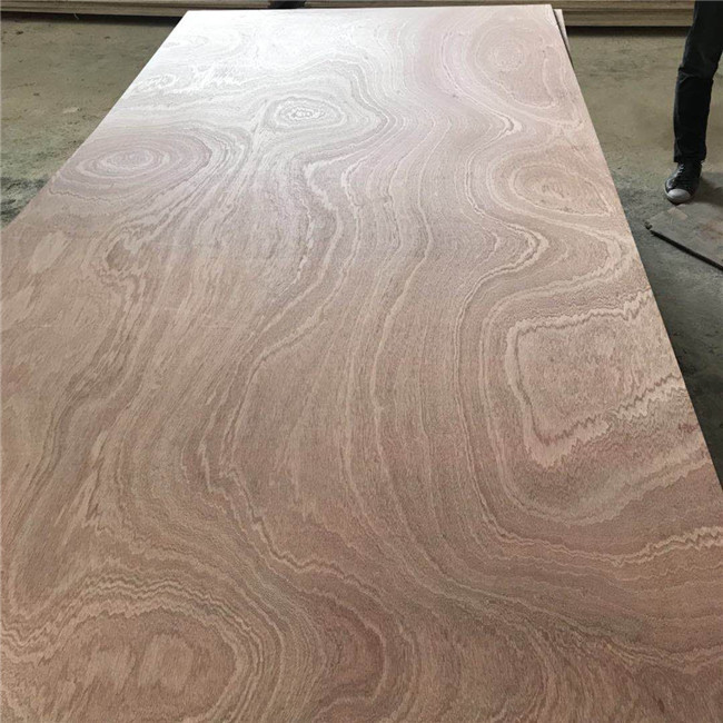 Sapele Core FSC 18mm 6mm 25mm Sapele Faced Plywood