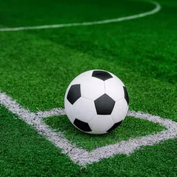 Football Lawn 30mm Football Artificial Grass Outdoor Mini Soccer Non Infill