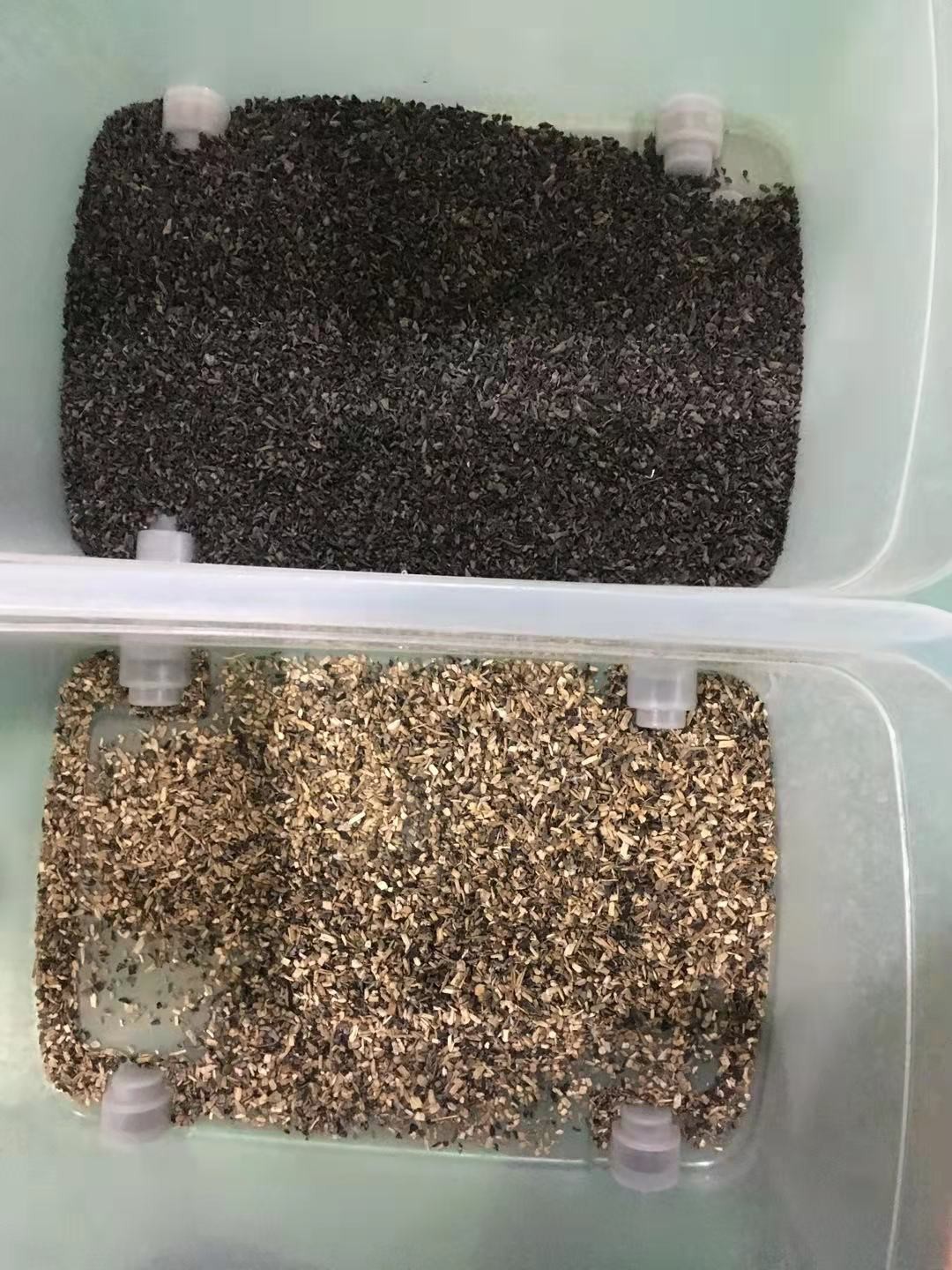 CCD Sesame/Soybean/Sorghum/Millet/Wheat/Corn/Maize/White Rice Color Sorter Machine
