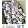 Buy cheap China garlic to Brazil from wholesalers
