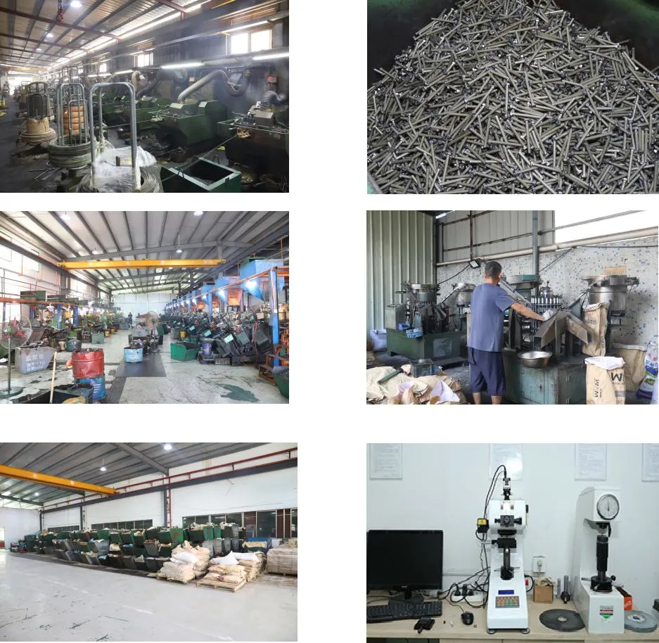 Free Sample Worldwide Stainless Steel 304/316/410 Phillips Countersunk Flat Head Self Drilling Concrete Screw DIN7504p