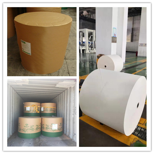 Anti-Curl Chenming Uncoated WoodFree White Bond Paper Smooth Writing 100% Virgin Pulp