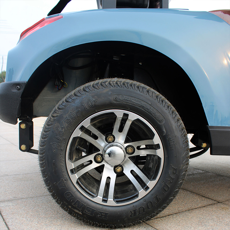 NL-G2020 48V 5KW Golf Cart Car 2 Passenger with Max. Speed 15.5mph 25khp and Tire Size 205/50-10 Tire diameter 18.1in 460mm