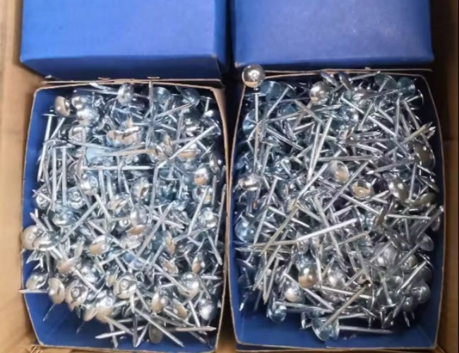 Corrugated Roofing Nails Hardware Building Construction Umbrella Galvanised Roofing Nails Long Nails