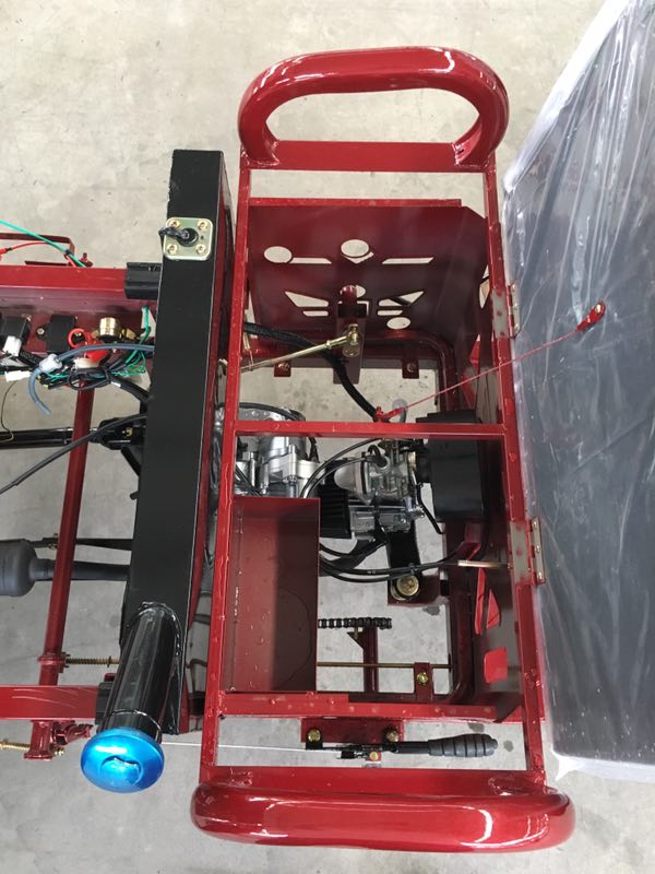 Pedal 1.0m*3.1m 110cc 3 Wheel Trike Moped