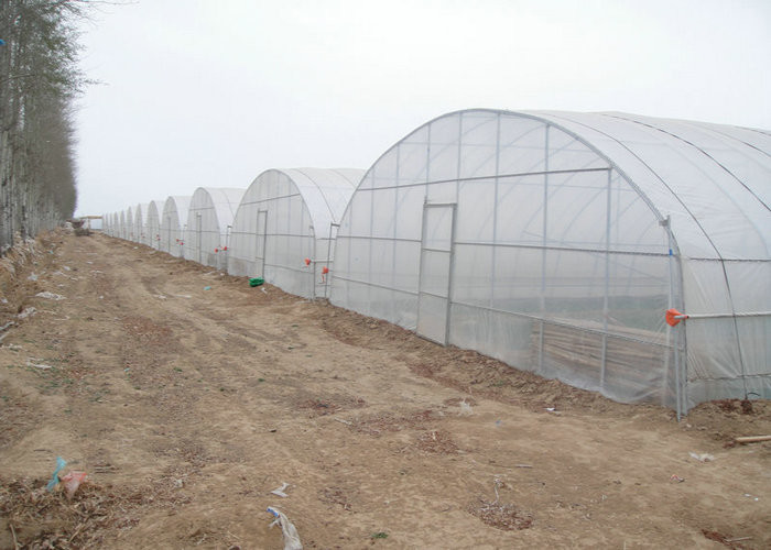 8m 9m 10m Plastic Polytunnel Greenhouse Agriculture Growing Vegetable Flower Fruit