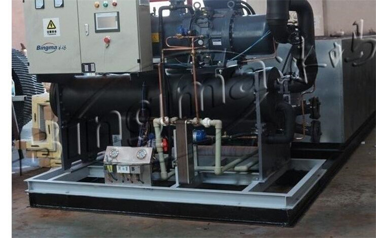 5T Brind Machine Shape Refrigerator Ice Block Moulding Machine