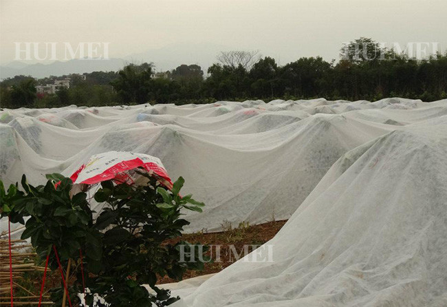 Plants Non Woven Polypropylene Landscape Fabric Environmental Friendly