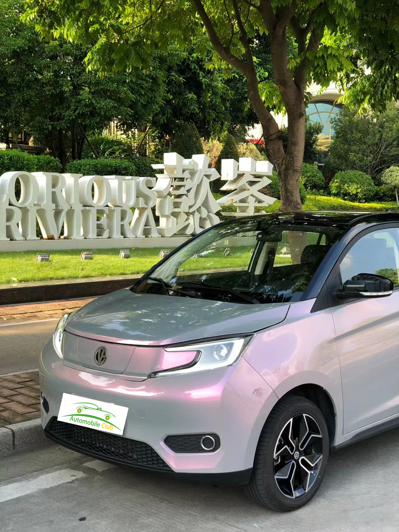 2023 Model Pure Electric Car YOUNG 302km Range 0.5h Fast Charge 4 Seats Full Load Weight 1080KG Maximum Power 35 100km/h