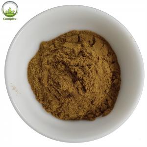 China Pure Natural Organic Export Dry Brown Yellow Oyster Mushroom Powder on sale