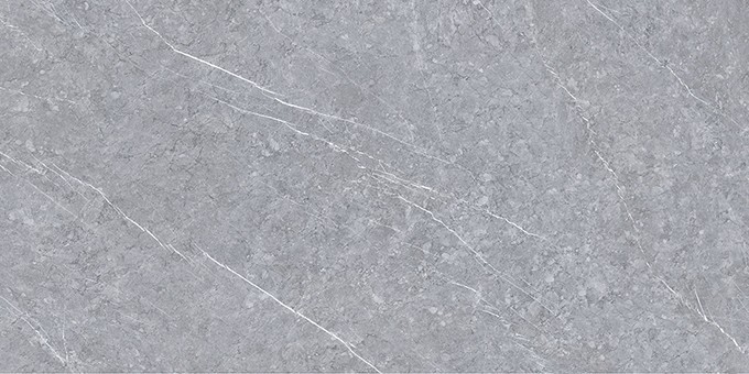 Grey Polished Showroom 1200 X 2400mm Ceramic Floor Tile