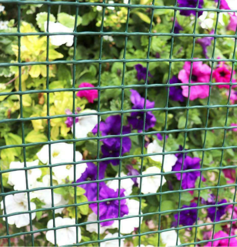 1/2 3/4 1 inches PVC Plastic coated chicken wire mesh chicken wire nettingwire mesh for chicken coop