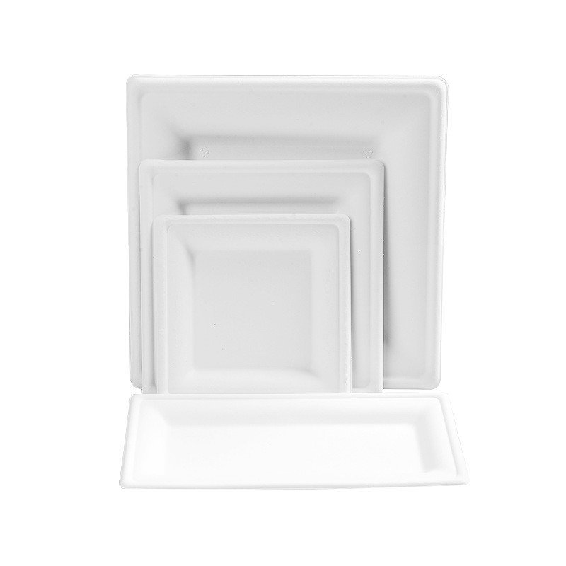 Food Custom Molded Pulp Packaging Biodegradable Environmentally Friendly