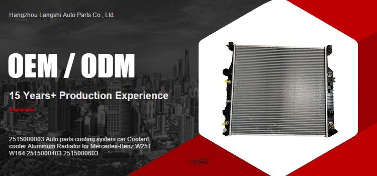 2515000003 Aluminum Radiator for Mercedes-Benz W251 W164 2515000403 2515000603 Design