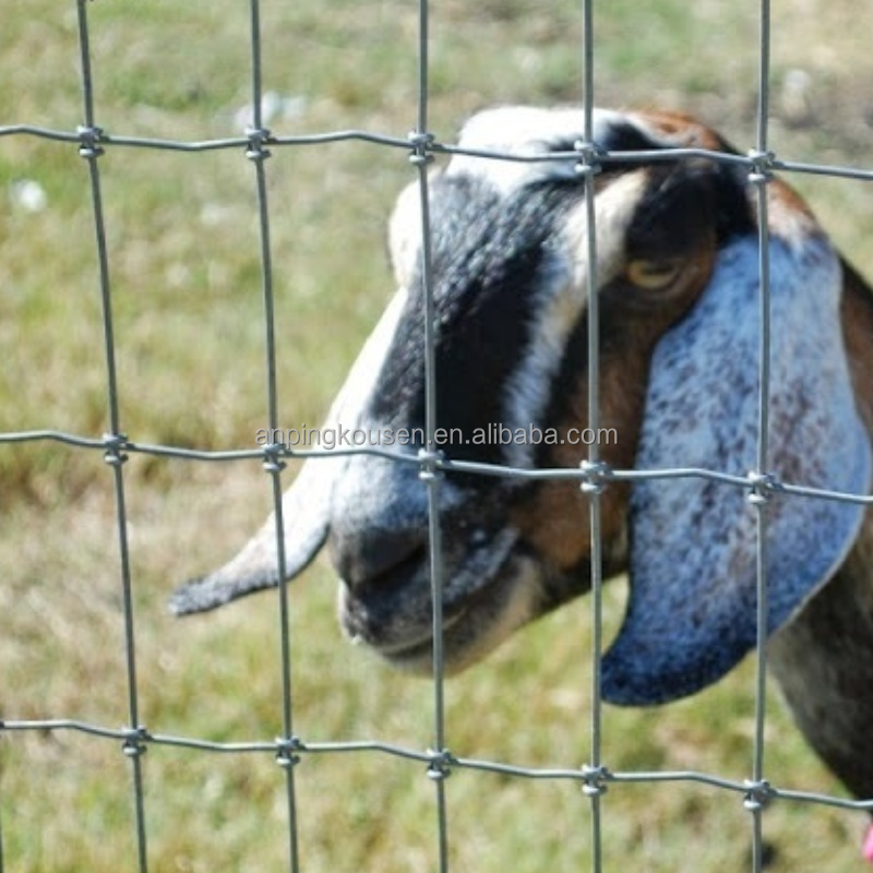 Pressure Treated Wood Type Field Fence for High Tensile Goat/Cow/Deer Fence on Farm