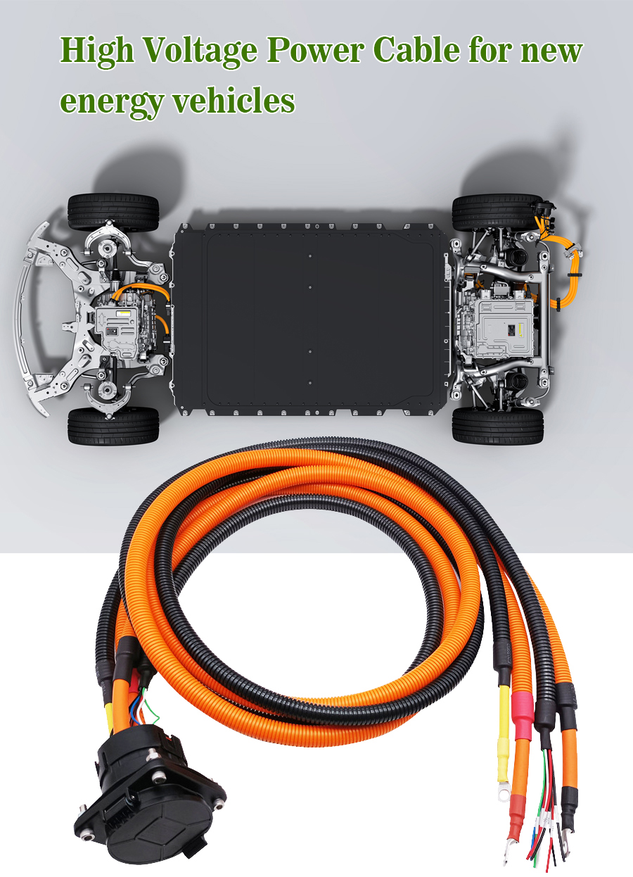 CTS Industrial Electric Vehicle Motorcycle Cable Assembly Car Wiring Harness