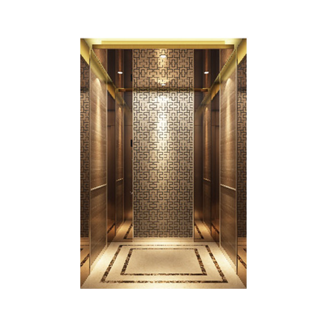 630kg 1.75m/S Small Machine Room Less Lift Roomless Home Passenger Elevator