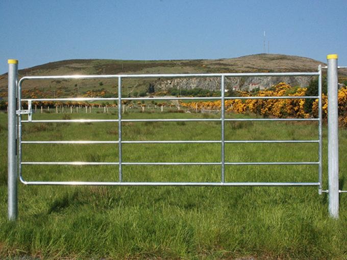 1800mm x 2100mm Horse Fence Round Pen 42mm O.D x 1.6 mm thickness Arena Corral Panel and Fram Gate Used In USA Market