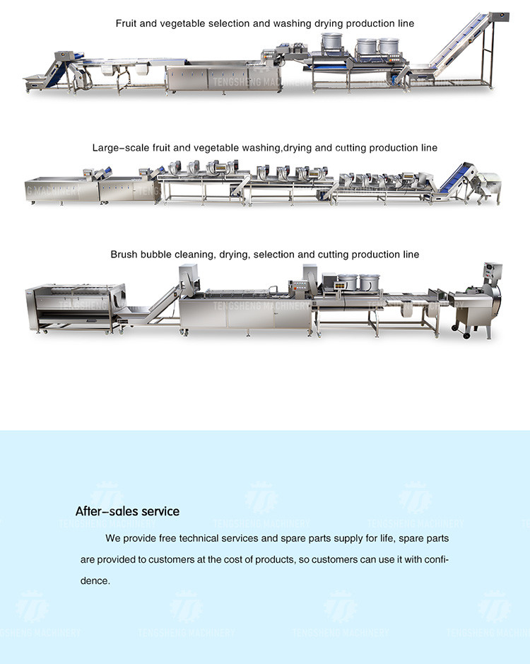185KG Commercial fruit and vegetable washing machine stainless steel ozone disinfection bubble washing machine