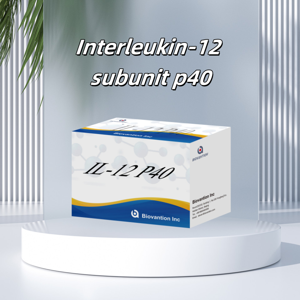 96 T Serum 98% Specificity ELISA RUO Test Kit Human IL-12 P40