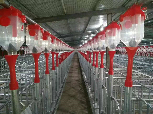 Automatic Raising Housing And Equipment For Swine Production CE SGS