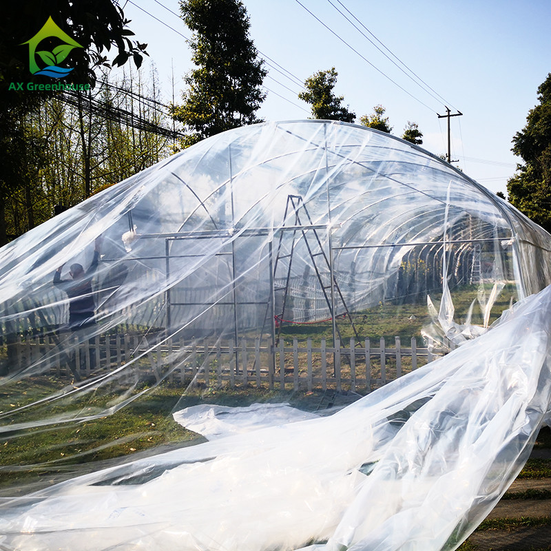 0.06mm 0.20mm Thick Flm Poly Tunnel Greenhouse Hot Galvanised Steel Greenhouse