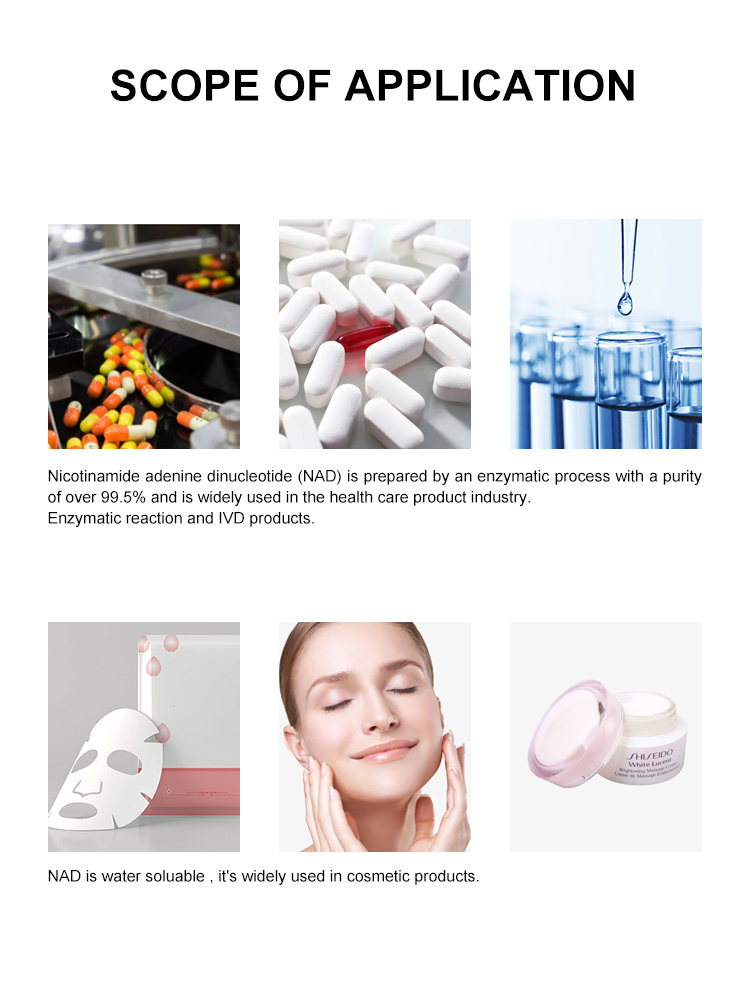 CAS 53-84-9 Bulk Powder NAD Supplement With EINECS No. 200-184-4