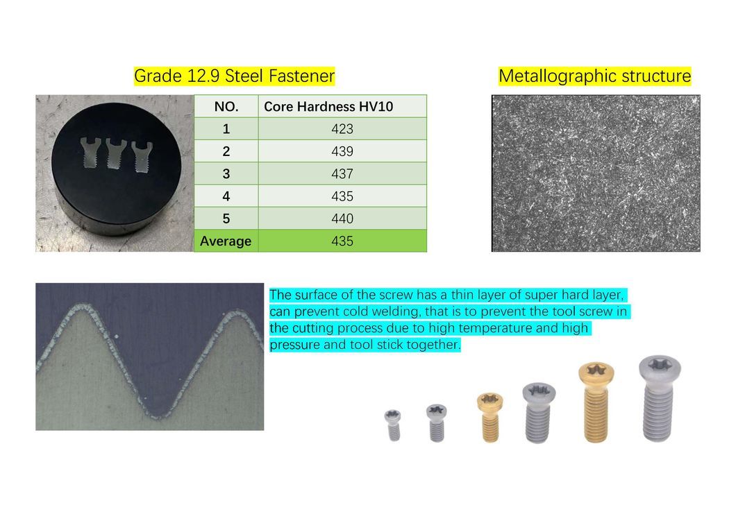 M1.6 Cutting Tool Screw Customized High Strength Screws for Shim Screw Ball Head Screw Double Thread Screw Cheese Head Screw Insert and Indexable Mill Fasteners