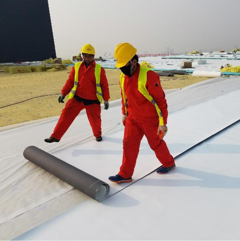 Waterproof TPO Film Material for Building Membrane in Hotel Construction Industry
