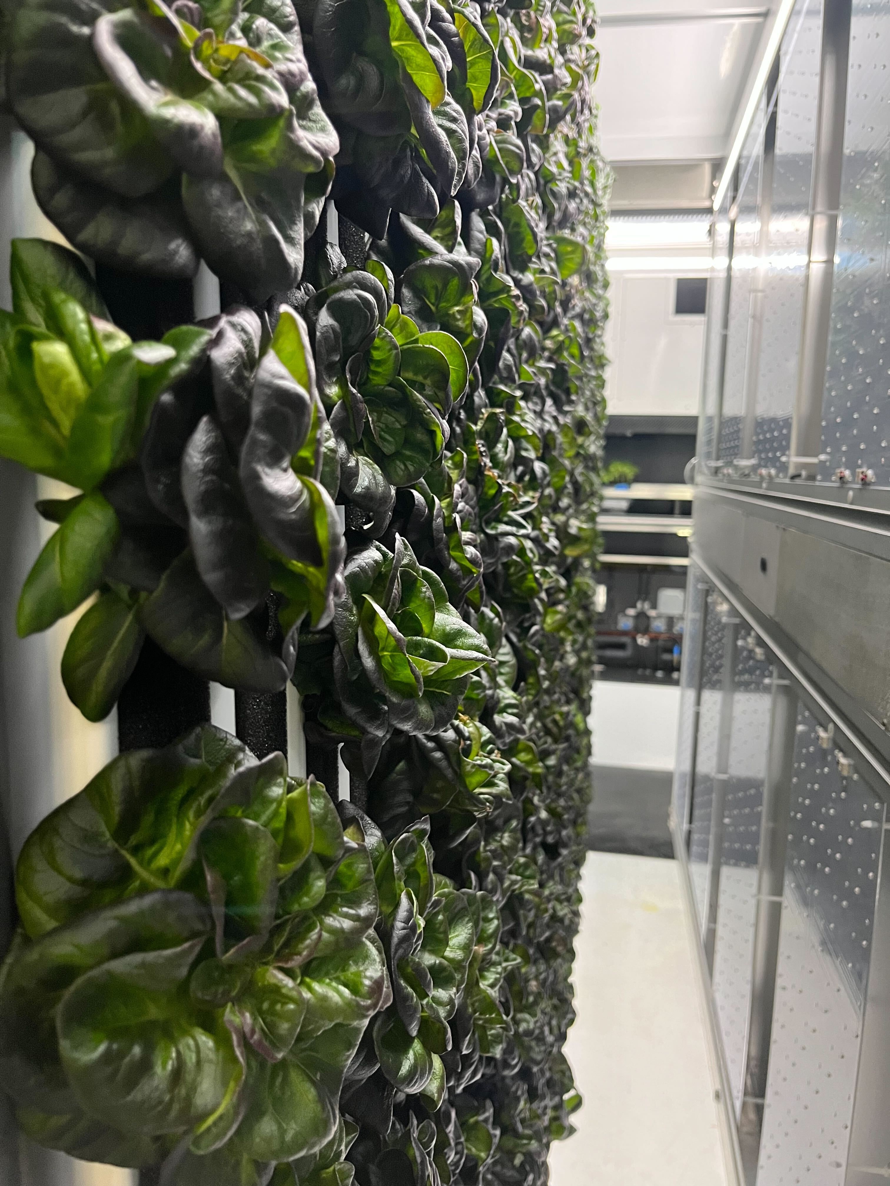 Aluminum PCB IP64 LED Grow Panel Light 100W AC85-265V For Vegetable