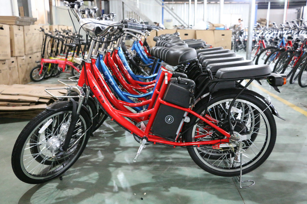 25km/H Pedal Assist Electric Bicycle 36V 250W For Adult And Child