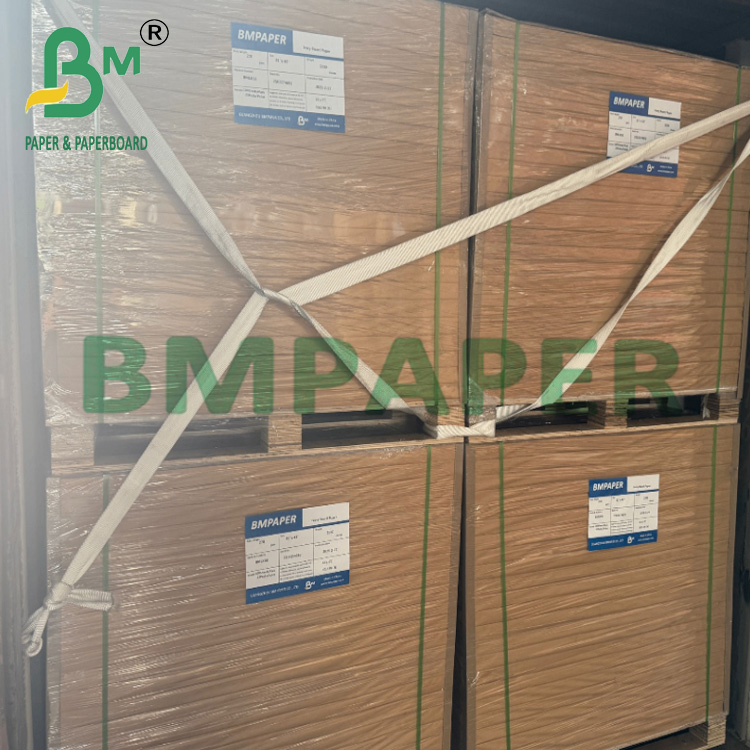 210gsm 230gsm Biodegradable Hot Coffee Tea Cup Paper Raw Material