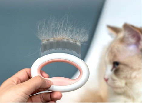 Oval Pet Grooming Tool Soft Tooth Cat Hair Cleaning Brush