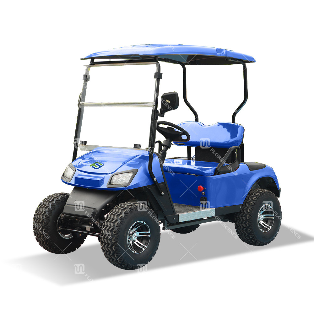 Deep Blue Color Mini 2-Seater Golf Cart With Battery And LED Headlight Exported USA