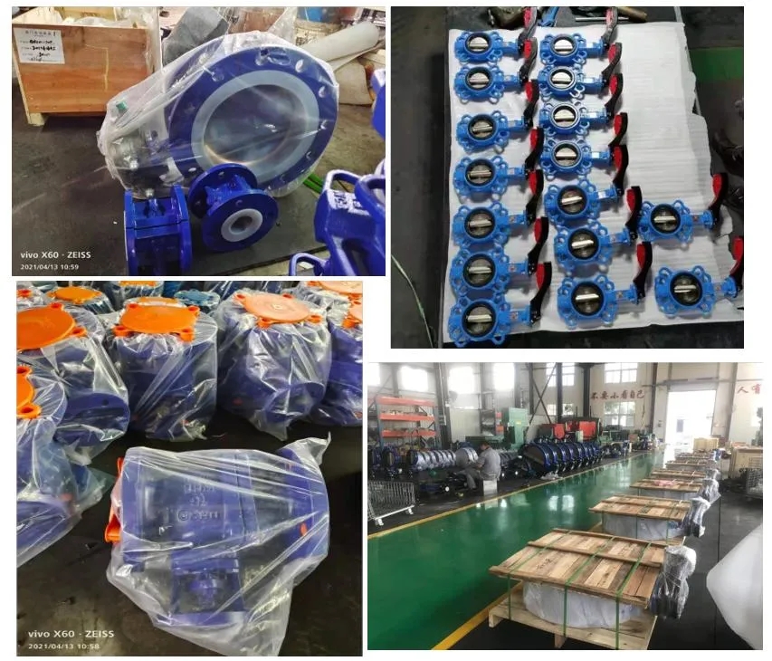 200mm PTFE Lined Butterfly Valve for Manual Operation in Industrial Applications