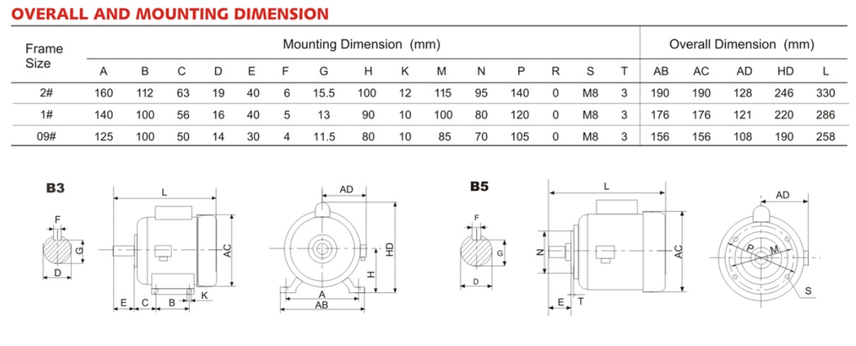 electric motor