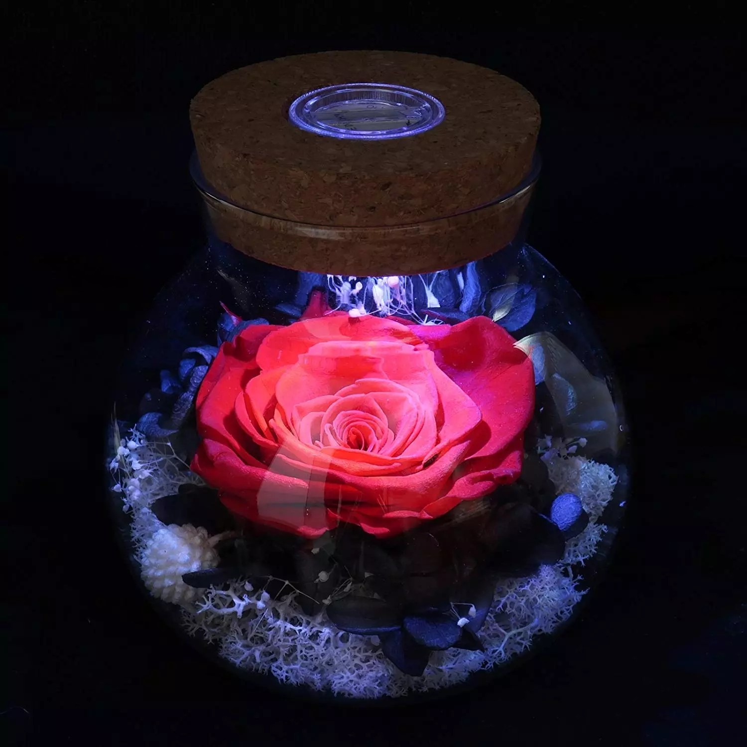 2020 Dried Eternal Roses Flowers Endless Preserved Roses Flower In Glass Valentine's Day Birthday Gift Wedding Party Dec