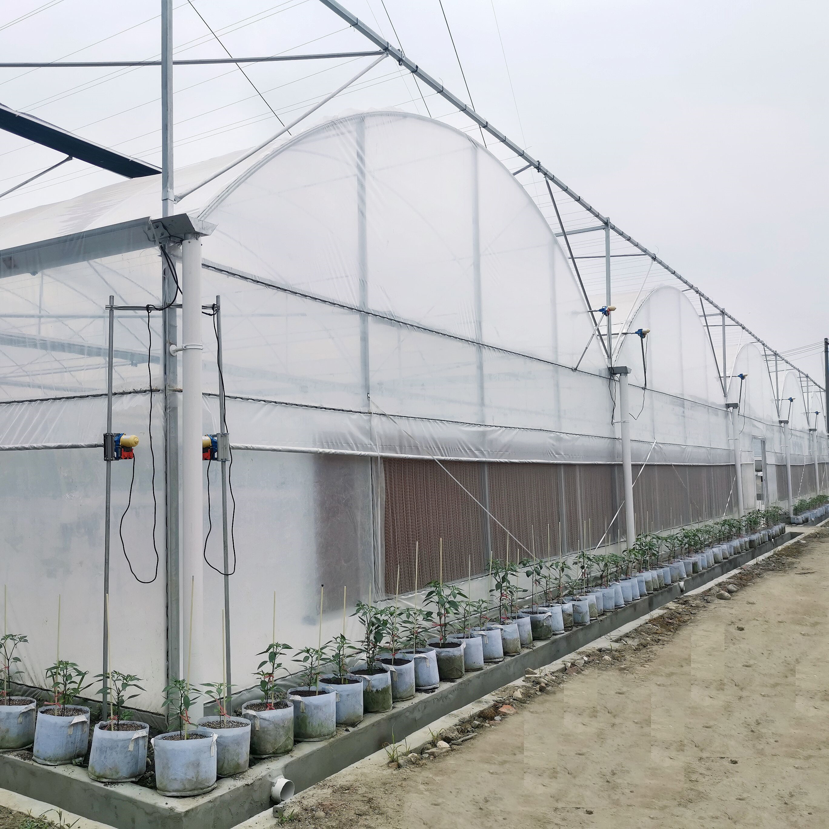 Hydroponic Growing Systems Greenhouse Low Cost Greenhouse Agriculture Plastic Greenhouse
