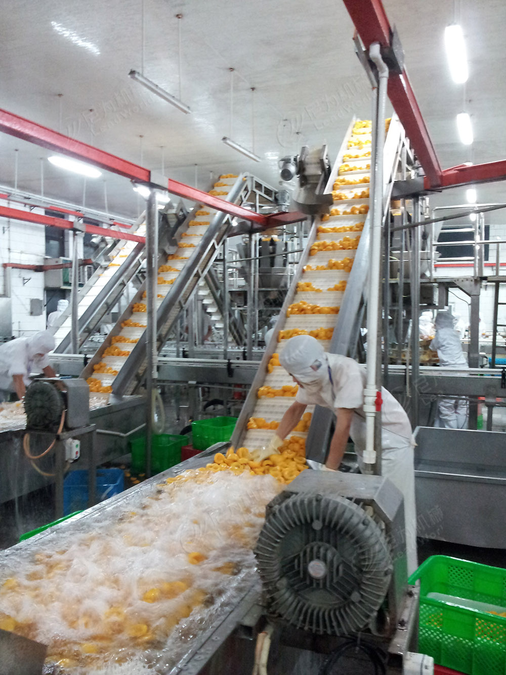 Vegetable And Fruit Cleaning Machine Potatoes Washing Machine