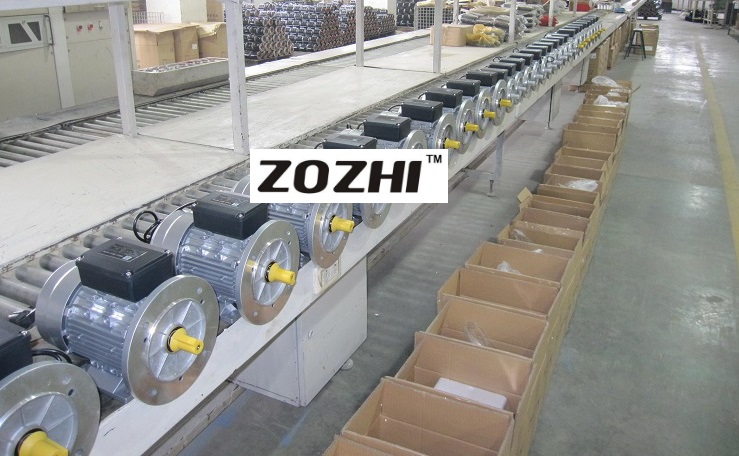 single phase motor