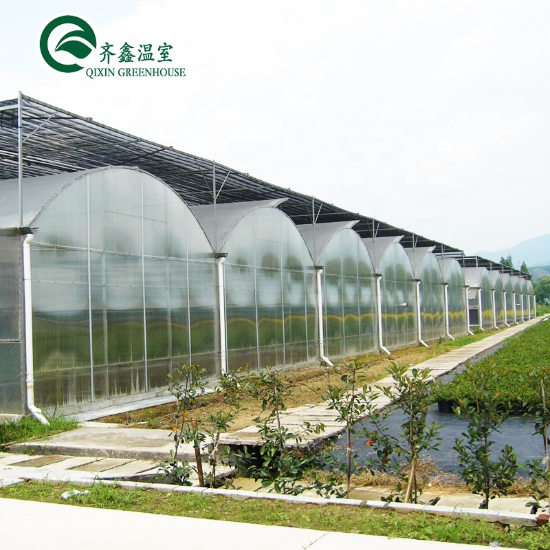 Inside Shading System Mushroom Greenhouse Equipment for Vegetable Fruits and Flowers