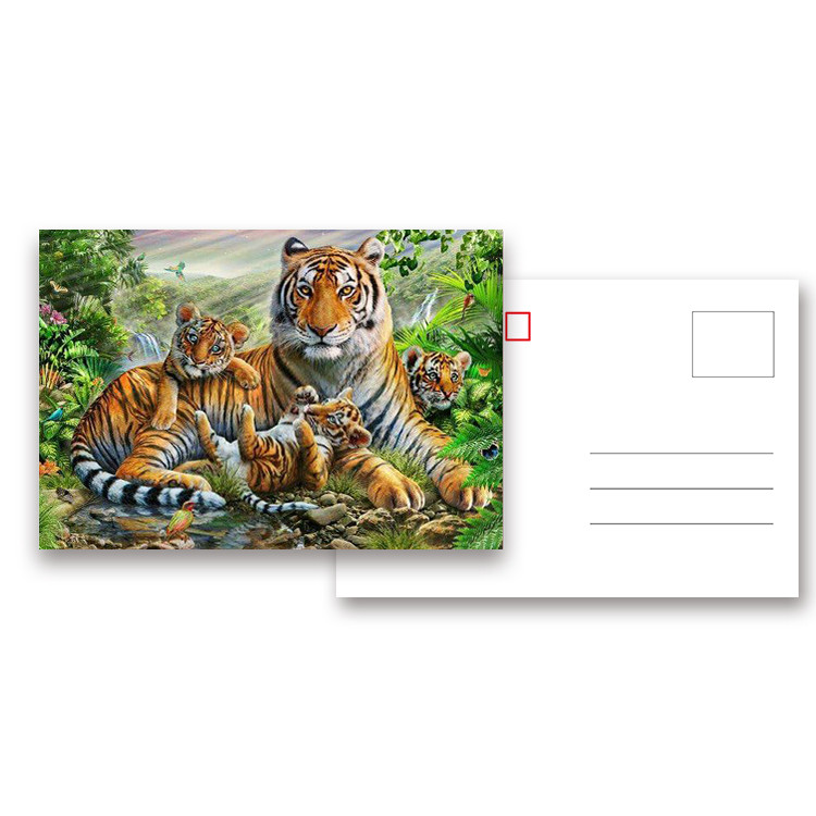 Durable Animal Theme OEM 3D Lenticular Postcard / Gift Card Printing